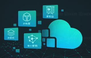 网络推广与互联网销售 选择策略与核心重点解析