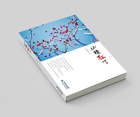 书籍设计 艺术与功能的交汇点