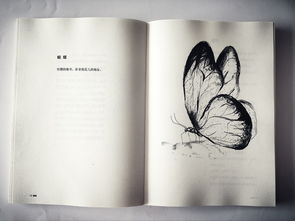 初探《博物志》 一部包罗万象的古代奇书